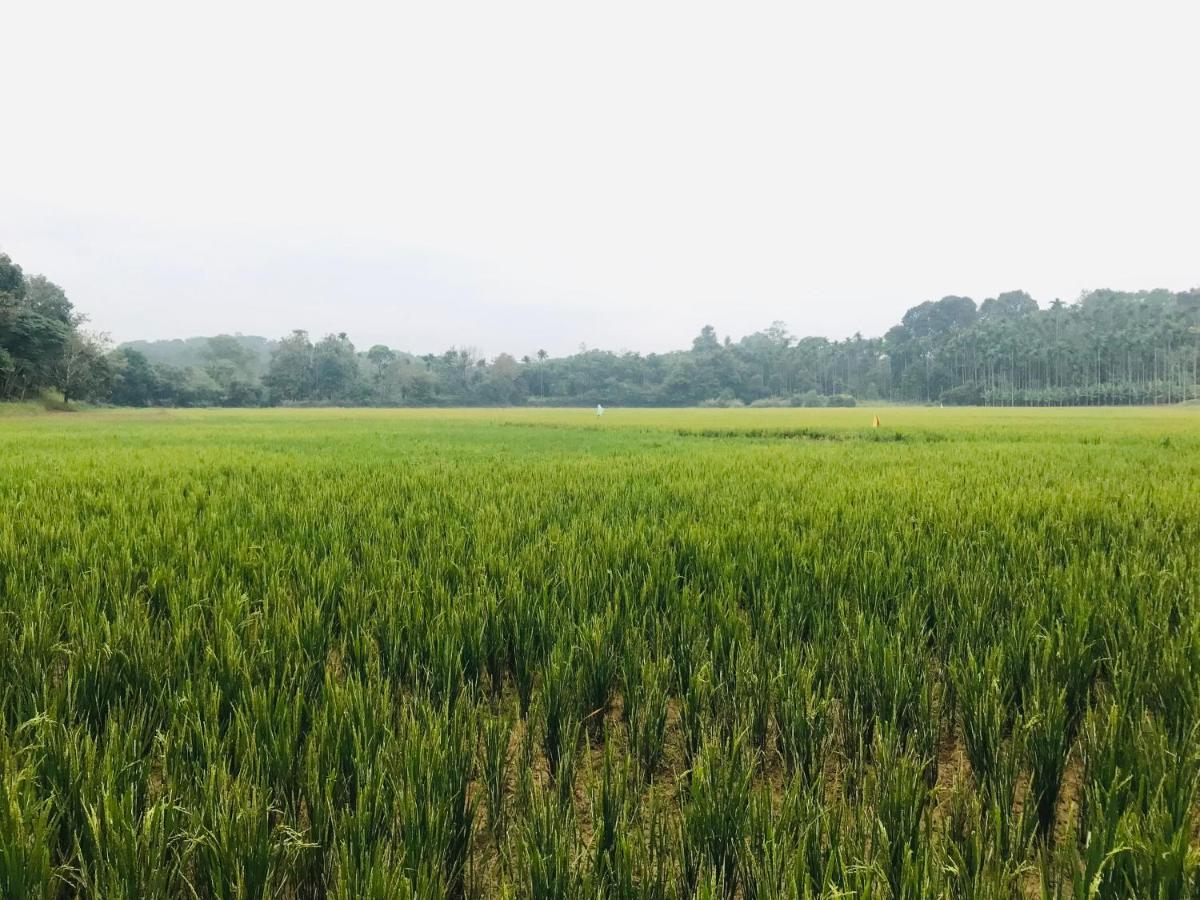 Partho Home Stay Padinjarathara 외부 사진